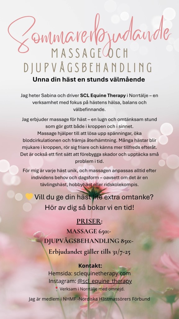 Sommarerbjudande massage och djupvågsbehandling till din häst.